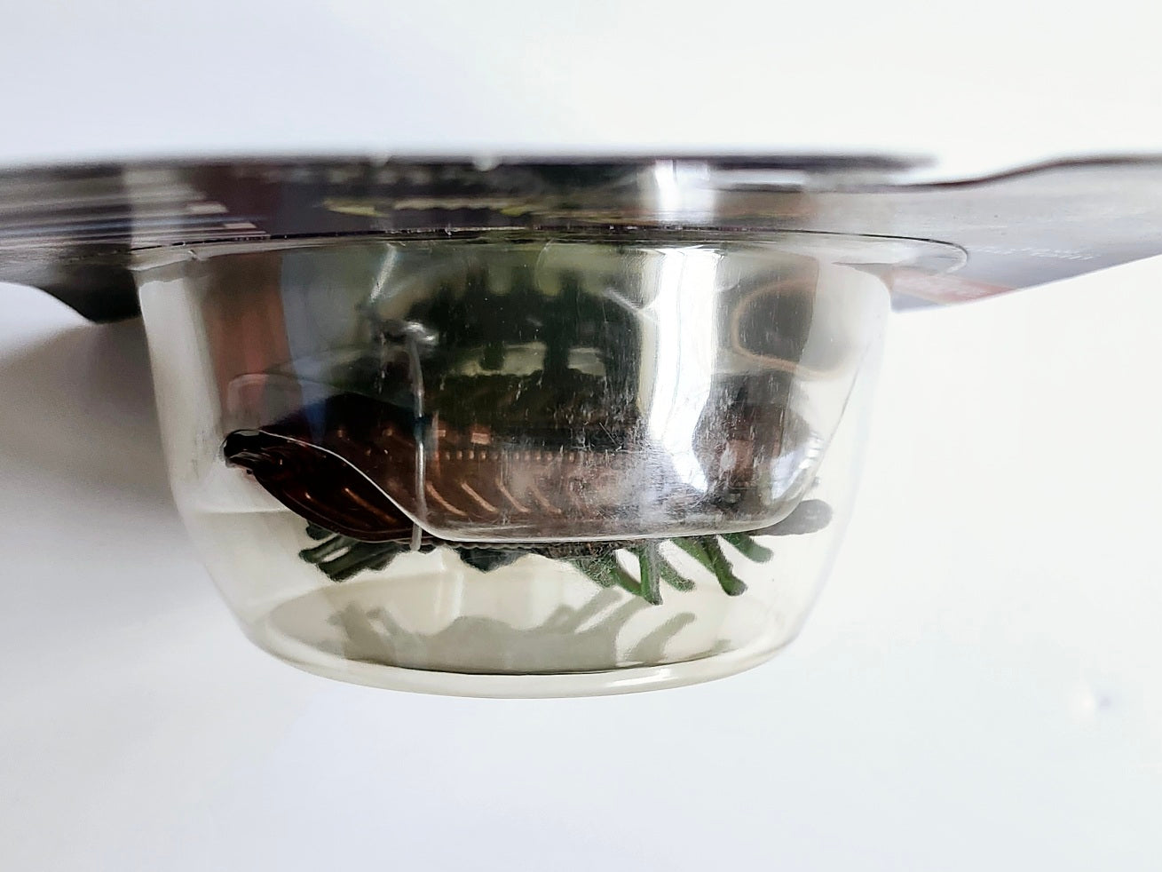 Aliens Snake Alien Action Figure, 1992