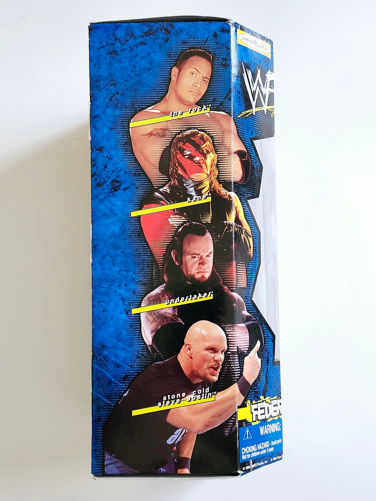 WWF Federation Fighters 2 Undertaker 12-Inch Action Figure