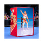 WWE Ultimate Edition Coliseum Collection Hulk Hogan & Terry Funk 2-Pack