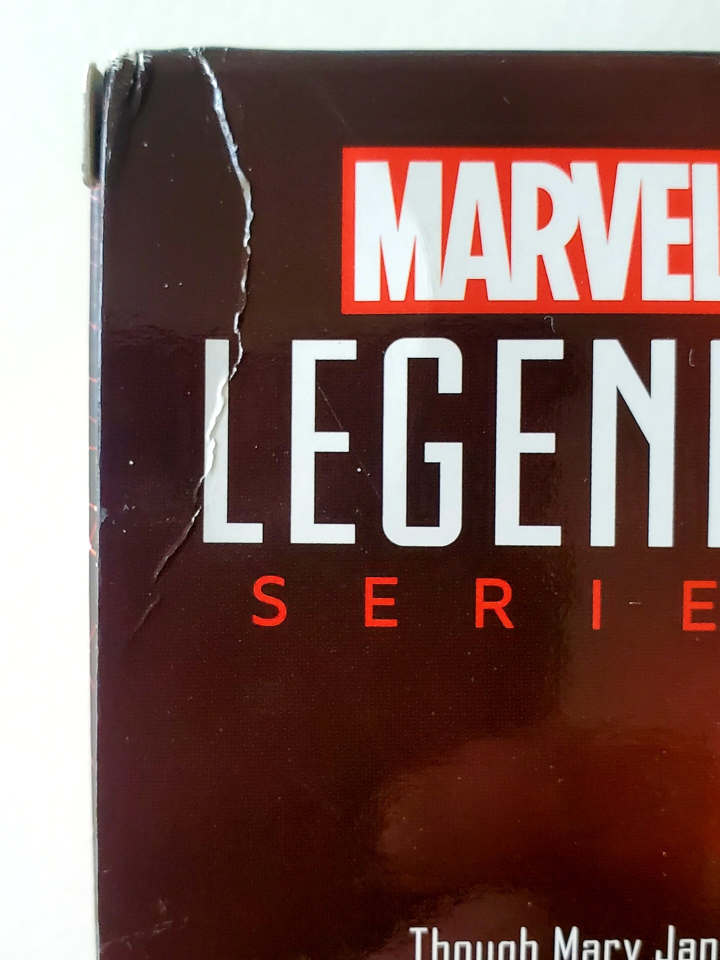 Marvel Legends Exclusive Spider-Man and Mary Jane Watson Action Figure 2-Pack