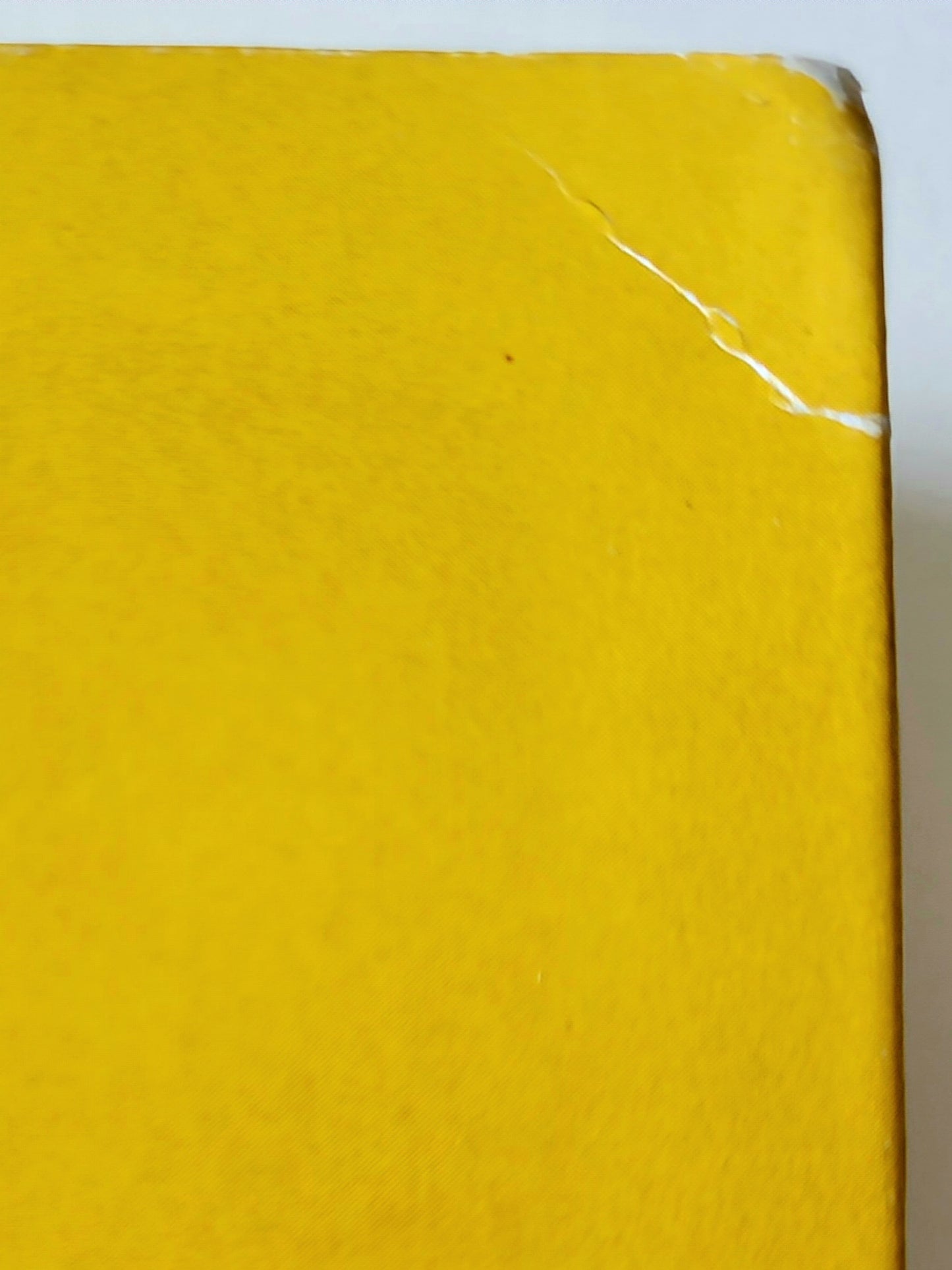 Captain Action as the Lone Ranger 12-Inch Action Figure (1998)